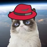Kaluche profile picture